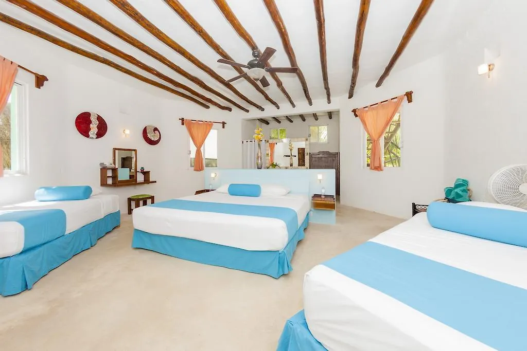 Mestizo Hotel Boutique 툴룸