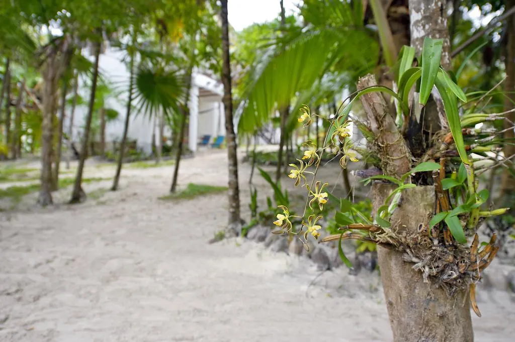 Mestizo Hotel Boutique Tulum