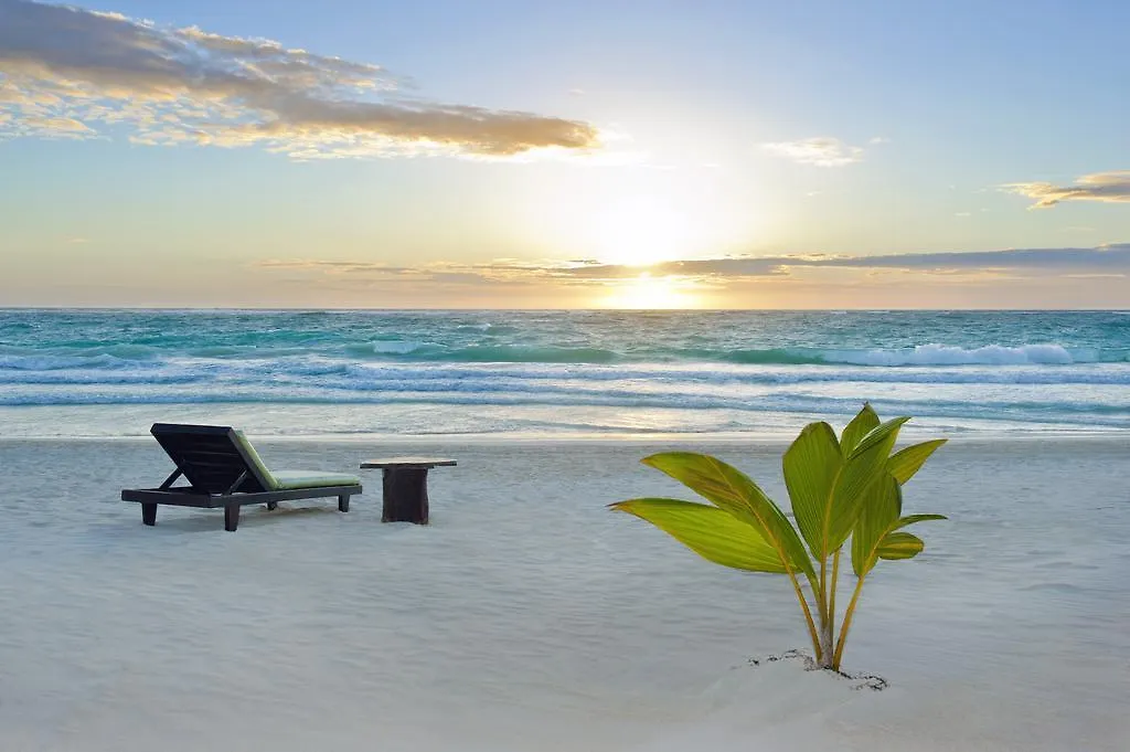 Mestizo Hotel Boutique Tulum