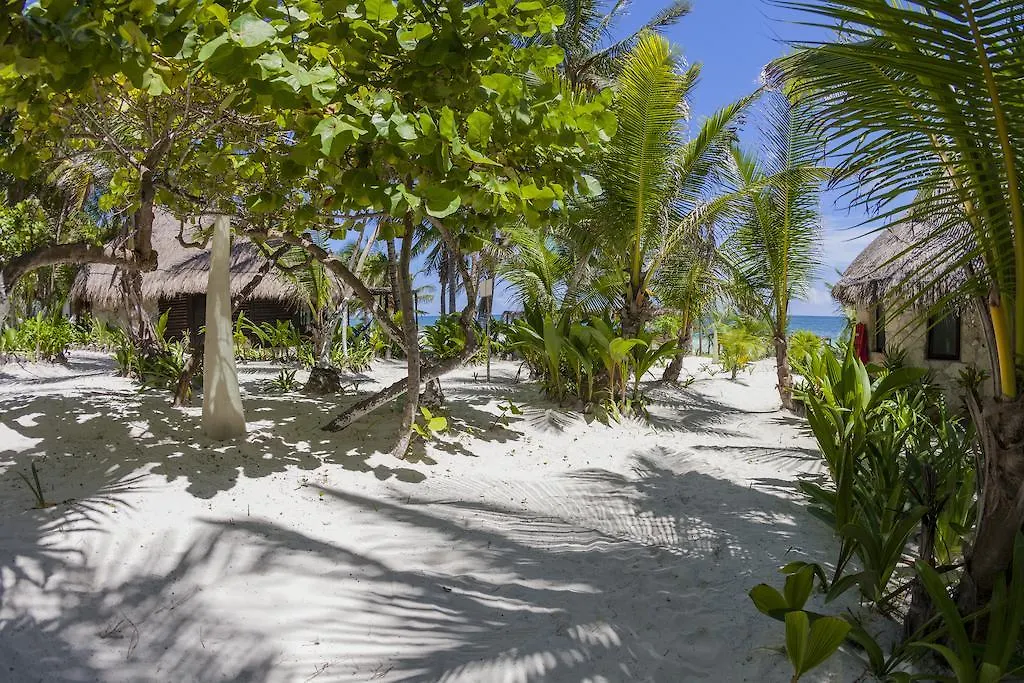 ****  Mestizo Hotel Boutique Tulum Mexico